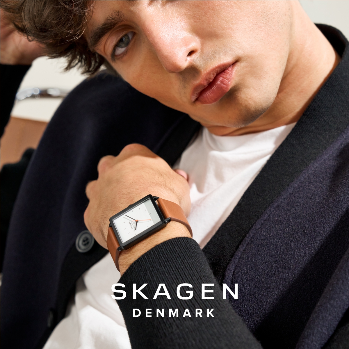 SKAGEN Herren Uhren
