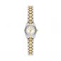 Preview: MICHAEL KORS Damen - Armbanduhr MK4903